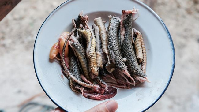 Bukan cuma Thailand, Indonesia juga punya sajian kuliner ekstrem. Budaya kuliner ekstrem ini bahkan dipercaya telah eksis di Indonesia sebelum abad ke-13.
