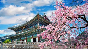 Negara Paling Mahal untuk Membesarkan Anak, Korea Selatan Nomor Satu!