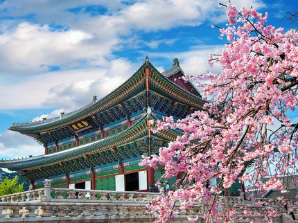Negara Paling Mahal untuk Membesarkan Anak, Korea Selatan Nomor Satu!