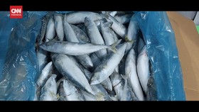 VIDEO: Menteri KKP Segel 20 Ton Ikan Salem Impor di Batam