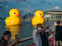 Si Bebek Raksasa Berlabuh di Hong Kong