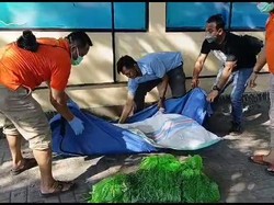 Kesaksian Warga yang Pertama Kali Temukan Mayat Termutilasi di Sidoarjo