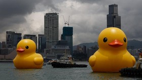 FOTO: Gemas Dua Bebek Raksasa di Pelabuhan Victoria Hong Kong
