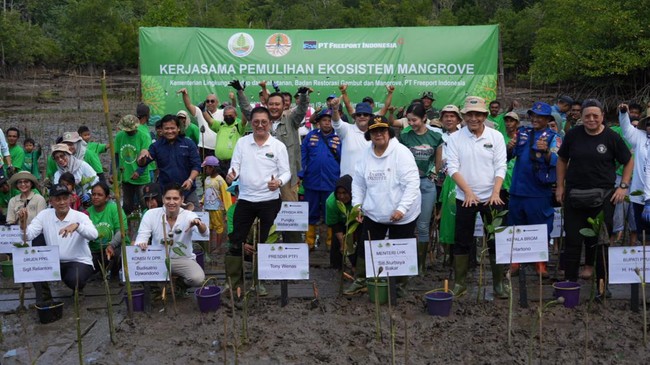 Presiden Direktur PTFI Tony Wenas menyatakan bahwa pihaknya berencana menanam mangrove di lahan seluas 10 ribu hektare sampai akhir masa tambang.