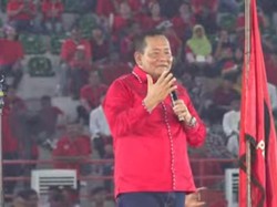 Profil Rapidin Simbolon, Ketua PDIP Sumut yang Disebut Nikmati Dana COVID