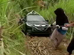 Ejekan Netizen Tahu Mobil Google Maps Nyasar ke Kebun Tebu: Kapokmu Kapan!