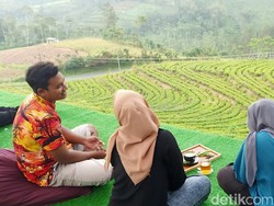 Yang Segar-segar dari Pegunungan Kalibening Banjarnegara, Dekat Dieng