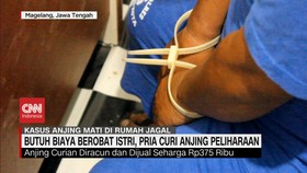 VIDEO: Butuh Biaya Berobat Istri, Pria Curi Anjing Peliharaan
