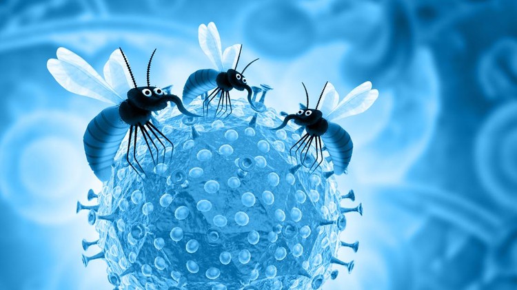 Ilustrasi Malaria Ilustrasi Malaria
