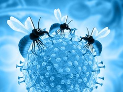 BNPB: Nias Selatan Darurat Wabah DBD dan Malaria, 8 Orang Meninggal Dunia