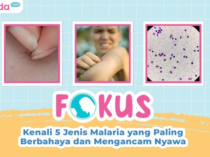 Kenali 5 Jenis Malaria yang Paling Berbahaya dan Mengancam Nyawa