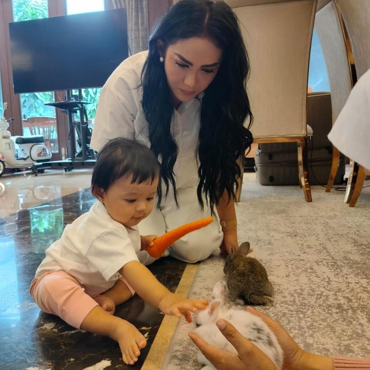 <p>Enggak cuma menggemaskan, Ameena juga tumbuh menjadi anak yang pintar, sehat, dan cantik nih, Bunda. Melalui kolom komentar, ia sering mendapat doa dari netizen, lho. "Masya Allah Tabarakallah Ameena gemes bangettt...cantik, pintar dan selalu membanggakan, love you Ameena sayang," tulis akun @an_ni****. (Foto: Instagram @krisdayantilemos)<br /><br /><br /></p>