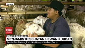 VIDEO: Menjamin Kesehatan Hewan Kurban