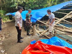 Resahkan Warga, Arena Judi Sabung Ayam di Malang Dibongkar