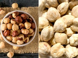 Viral Netizen Sebut Hazelnut dan Kemiri Sama, Ini 5 Faktanya