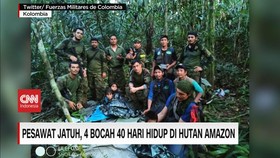 VIDEO: Pesawat Jatuh, 4 Bocah 40 Hari Hidup di Hutan Amazon