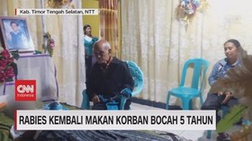 VIDEO: Rabies Kembali Makan Korban Bocah 5 Tahun