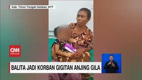 VIDEO: Balita Jadi Korban Gigitan Anjing Gila, Korban Rabies Bertambah