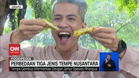 VIDEO: Ini Dia! Perbedaan Tiga Jenis Tempe Nusantara