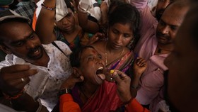 FOTO: Menelan Ikan Hidup untuk Pengobatan Asma di India