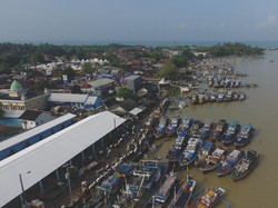Nilai Produksi Rp 2,24 T, Laut Banten Jadi Tambang Investasi Perikanan