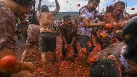 FOTO: Serunya Festival Perang Tomat di Kolombia