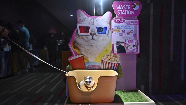 FOTO: Thailand Buka Bioskop Ramah Anabul