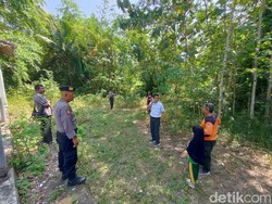 Geger Bau Busuk Misterius di Kulur Kulon Progo, Berawal dari Motor Tak Bertuan