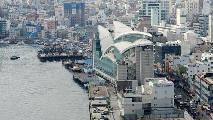 img-title Dijamin Berkesan, 5 Kegiatan Ini Nggak Boleh Dilewatkan Saat Berwisata ke Busan Korea Selatan!