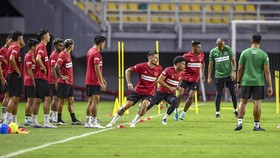 Link Live Streaming Indonesia vs Palestina di FIFA Matchday