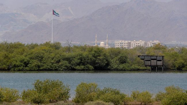 Dubai, Uni Emirat Arab, akan meregenerasi pesisir terbesar di dunia dengan garis pantai sepanjang lebih dari 70 kilometer (43 mil).