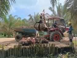 PT SSMS Komitmen Jaga Lingkungan untuk Wujudkan Sawit Berkelanjutan