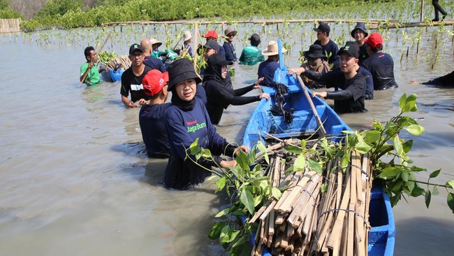 Program Carbon Offset dari inisiatif Program CSR Telkomsel Jaga Bumi tanam 15.060 mangrove hasil konversi donasi Telkomsel Poin pelanggan dan donasi perusahaan.