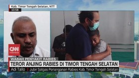 VIDEO: Teror Anjing Rabies di Timor Tengah Selatan