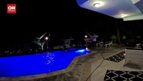 VIDEO: Detik-Detik Evakuasi Buaya 3 Meter dari Kolam Renang di AS