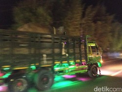 Pemandangan Tak Biasa, Lihat Gajah Naik Truk di Jogja