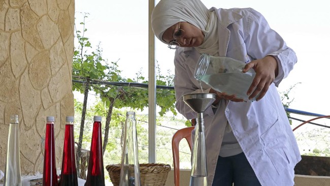 FOTO: Aroma Wangi Desa Mawar Lebanon yang Menggoda