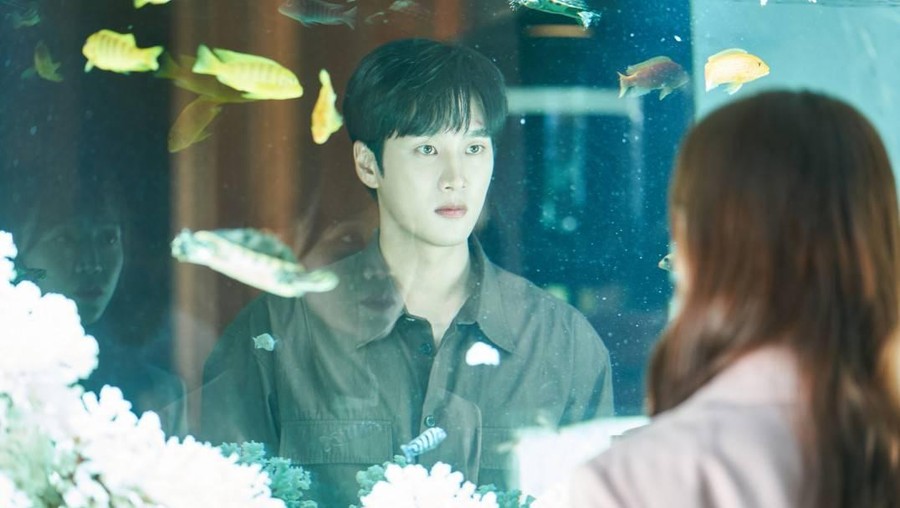 Drama Korea See You in My 19th Life