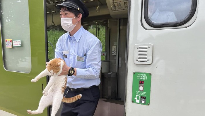 Kucing Viral Gara-Gara Buat Kereta Jepang Terlambat, Simak Kisahnya!