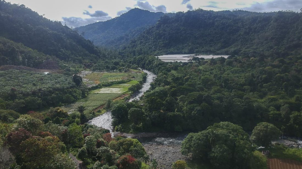 FOTO: Pesona Tersembunyi di Hutan Gamaran Padang Pariaman