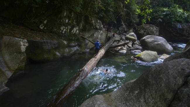FOTO: Pesona Tersembunyi di Hutan Gamaran Padang Pariaman