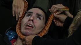 FOTO: Berkawan dengan Reptil, Cara Sehat Mental di Brasil