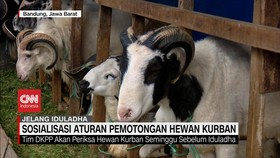 VIDEO: Sosialisasi Aturan Pemotongan Hewan Kurban