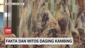 VIDEO: Fakta Dan Mitos Daging Kambing