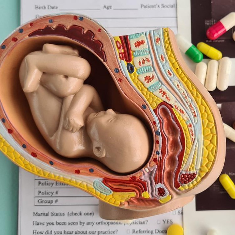 Ilustrasi Aborsi Ilustrasi Aborsi