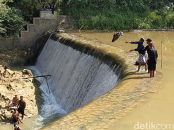 Larung Kepala Kerbau di Dam Bagong, Tradisi Petani Trenggalek Syukuri Irigasi