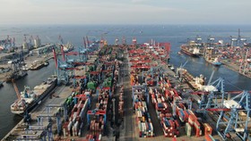Pertamina Akan Bangun Terminal Energi Hijau di Lahan Pelindo
