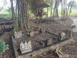 Kisah Pilu Pengantin Baru Diterkam Macan hingga Satu Desa di Gresik Hilang