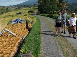 5 Rekomendasi Destinasi Desa Ekowisata di Bali