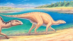 Ilmuwan Temukan Fosil Dinosaurus Berparuh Bebek di Chile
